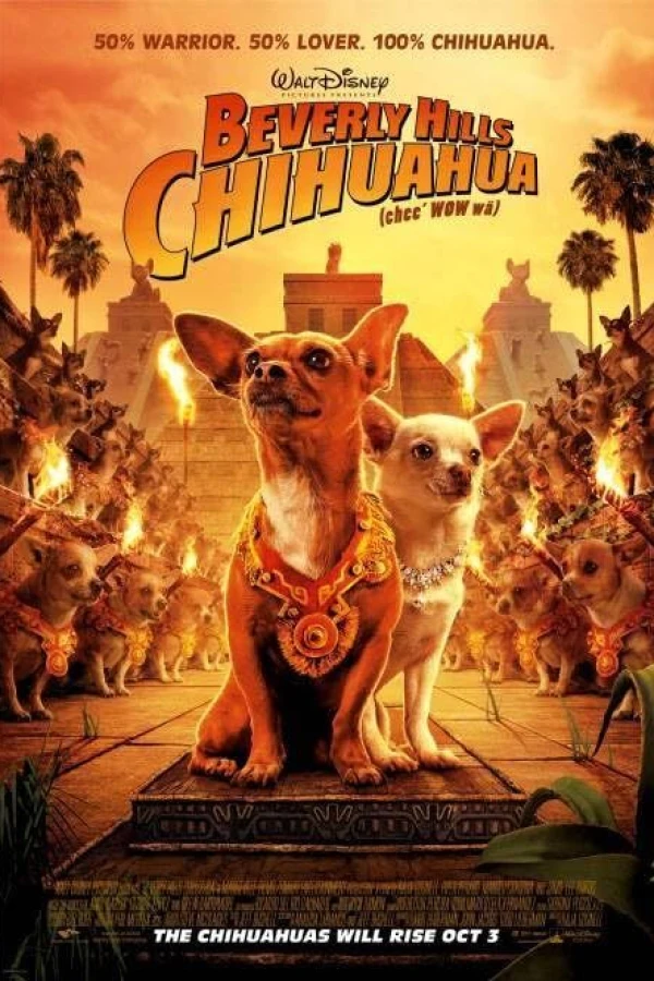 O Chihuahua de Beverly Hills Poster