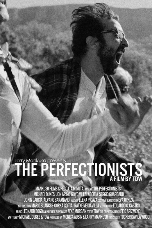 The Perfectionists Cartaz